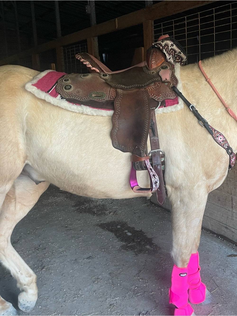 Billy cook pink ostrich saddle